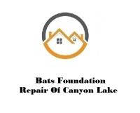 Bats Foundation Repair Of Canyon Lake image 1